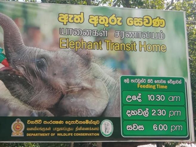 Udawalawe Wildlife & Nature Protection Bungalow Екстериор снимка