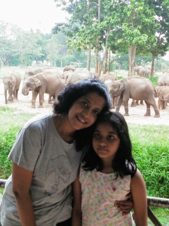 Udawalawe Wildlife & Nature Protection Bungalow Екстериор снимка